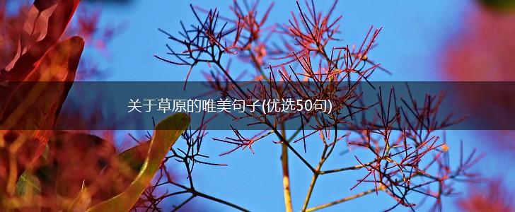 关于草原的唯美句子(优选50句),第1张