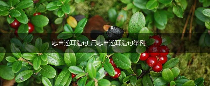 忠言逆耳造句_用忠言逆耳造句举例,第1张
