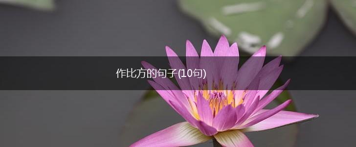 作比方的句子(10句),第1张