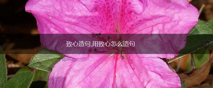 致心造句,用致心怎么造句,第1张
