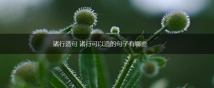 诸行造句 诸行可以造的句子有哪些,第1张