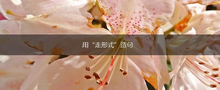 用“走形式”造句,第1张