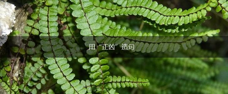 用“正凶”造句,第1张