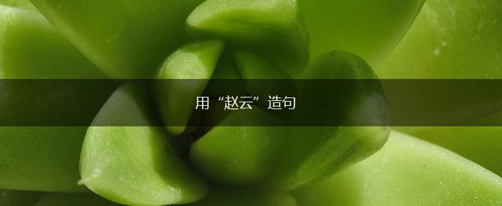 用“赵云”造句,第1张