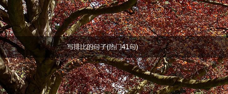 写排比的句子(热门41句),第1张