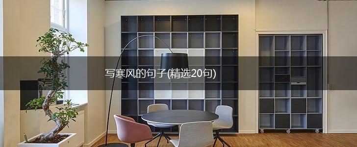 写寒风的句子(精选20句),第1张