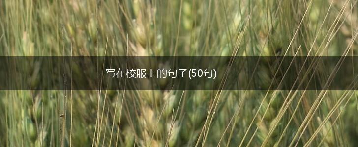 写在校服上的句子(50句),第1张