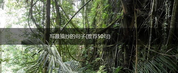 写景摘抄的句子(推荐50句),第1张