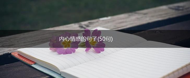 内心情感的句子(50句),第1张