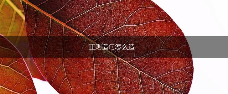 正则造句怎么造,第1张
