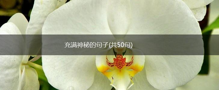 充满神秘的句子(共50句),第1张