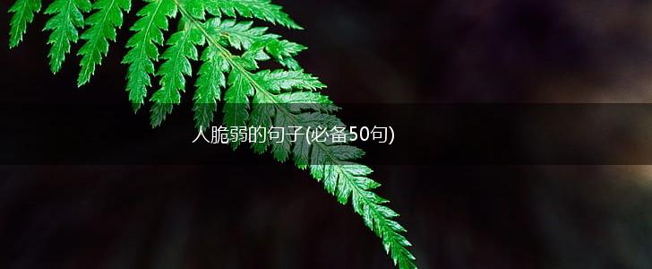 人脆弱的句子(必备50句),第1张
