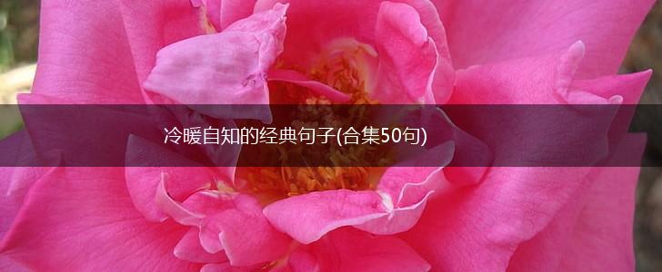 冷暖自知的经典句子(合集50句),第1张
