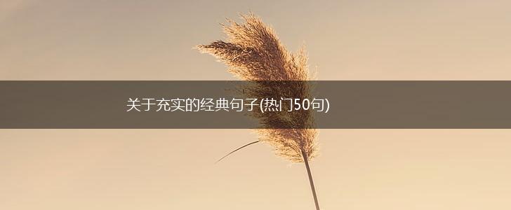 关于充实的经典句子(热门50句),第1张