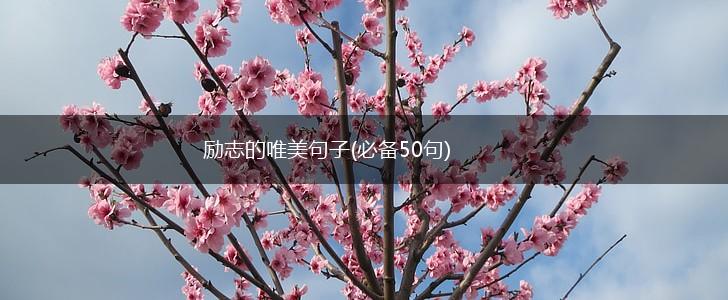 励志的唯美句子(必备50句),第1张