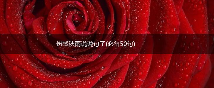 伤感秋雨说说句子(必备50句),第1张