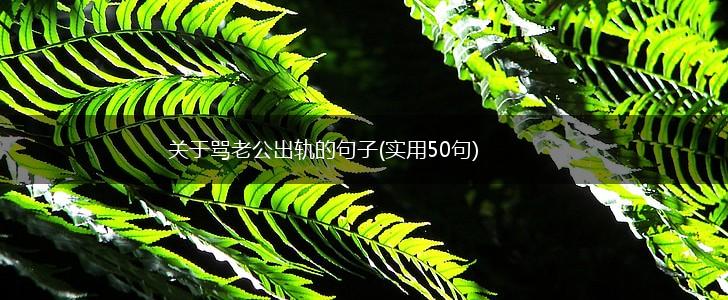 关于骂老公出轨的句子(实用50句),第1张