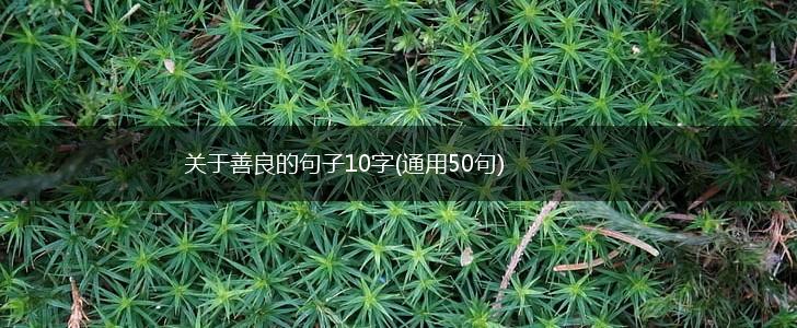 关于善良的句子10字(通用50句),第1张