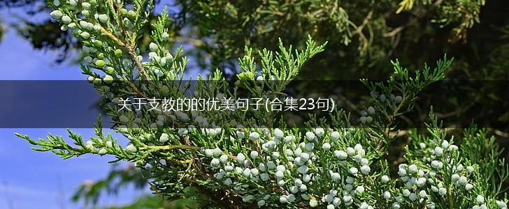 关于支教的的优美句子(合集23句),第1张
