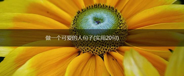 做一个可爱的人句子(实用20句),第1张