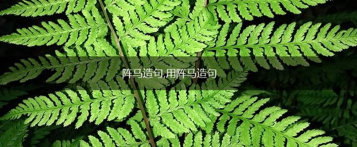 阵马造句,用阵马造句,第1张
