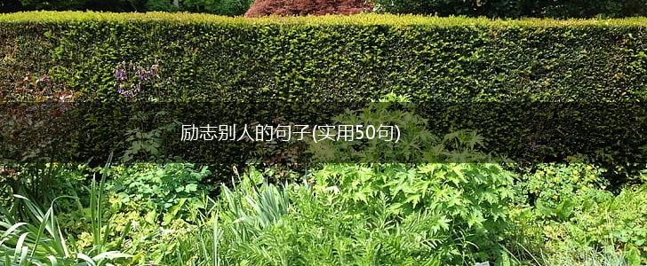 励志别人的句子(实用50句),第1张