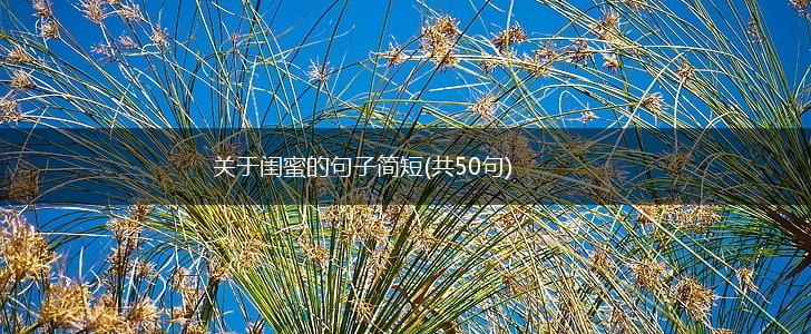 关于闺蜜的句子简短(共50句),第1张
