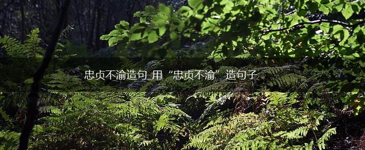 忠贞不渝造句_用“忠贞不渝”造句子,第1张