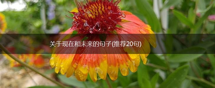 关于现在和未来的句子(推荐20句),第1张