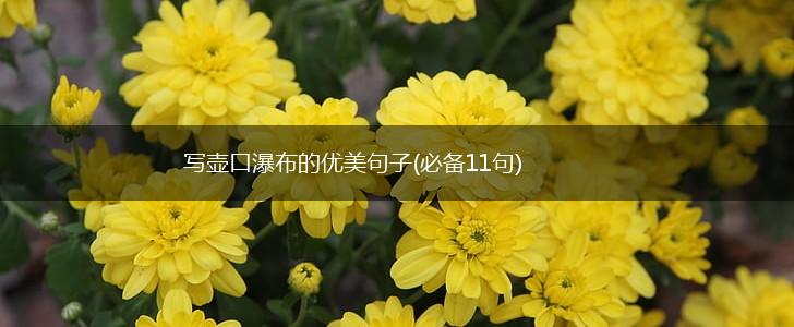 写壶口瀑布的优美句子(必备11句),第1张