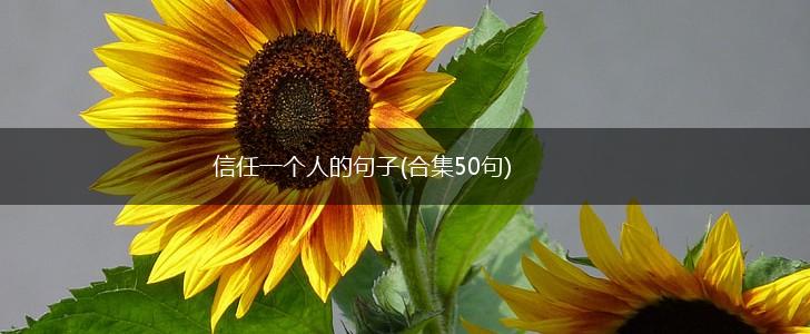信任一个人的句子(合集50句),第1张