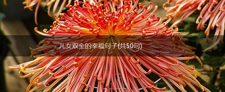 儿女双全的幸福句子(共50句),第1张