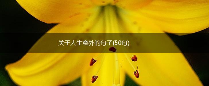 关于人生意外的句子(50句),第1张