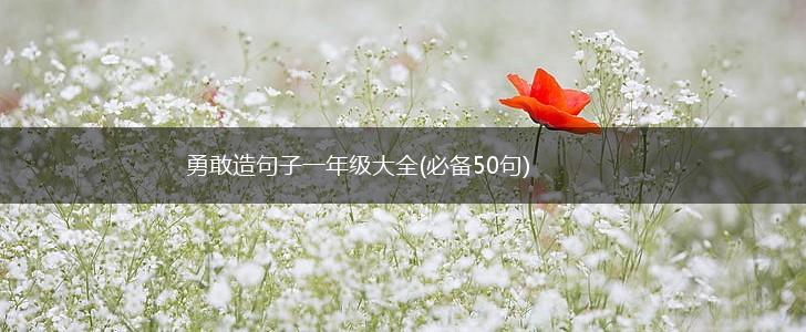 勇敢造句子一年级大全(必备50句),第1张