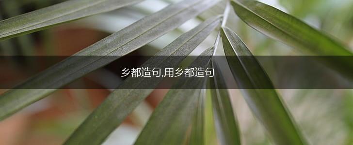 乡都造句,用乡都造句,第1张