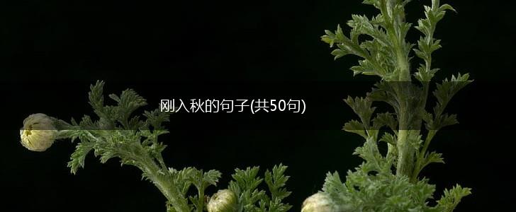 刚入秋的句子(共50句),第1张