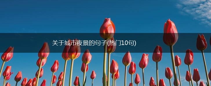 关于城市夜景的句子(热门10句),第1张