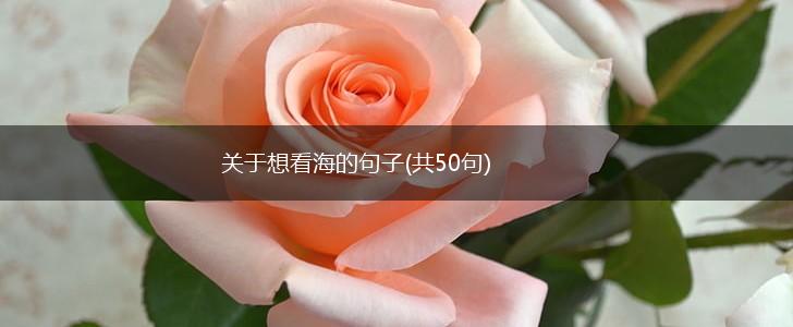 关于想看海的句子(共50句),第1张