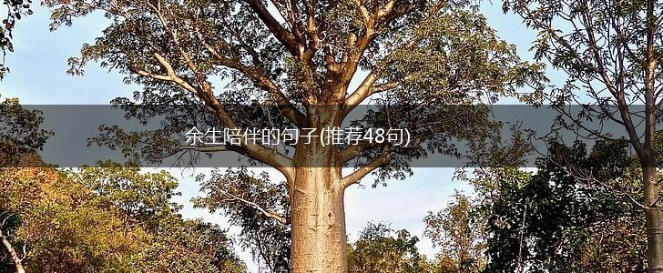 余生陪伴的句子(推荐48句),第1张