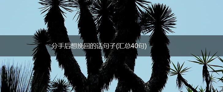 分手后想挽回的话句子(汇总40句),第1张