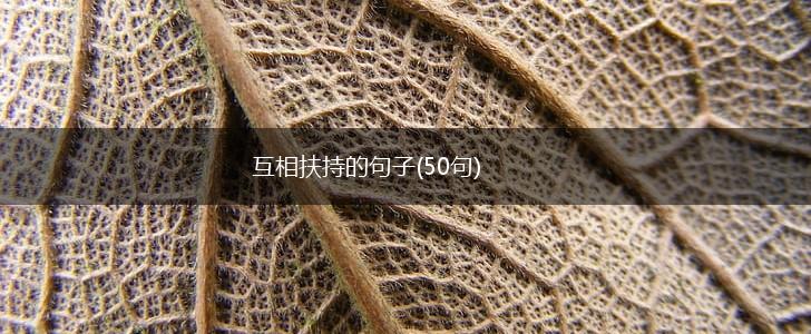 互相扶持的句子(50句),第1张