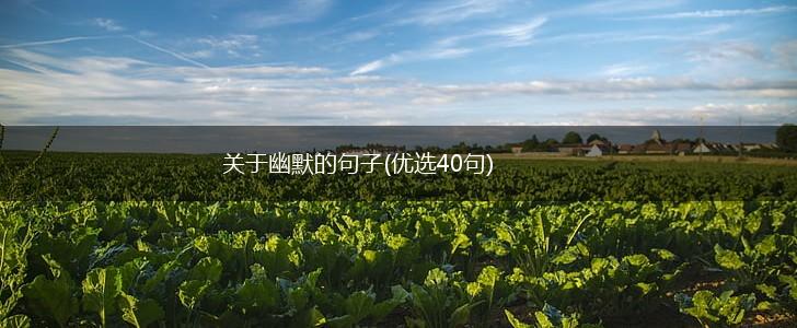 关于幽默的句子(优选40句),第1张