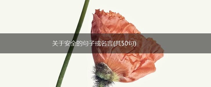 关于安全的句子或名言(共50句),第1张