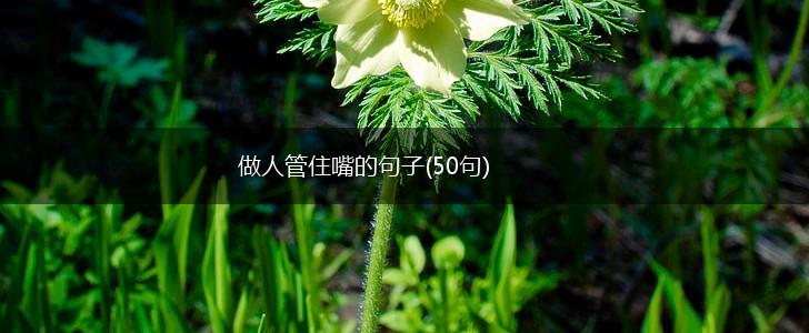 做人管住嘴的句子(50句),第1张