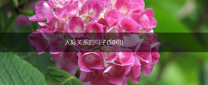人际关系的句子(50句),第1张