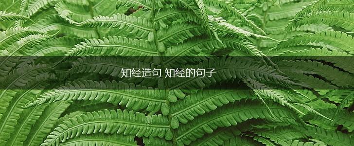 知经造句 知经的句子,第1张