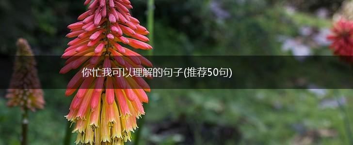 你忙我可以理解的句子(推荐50句),第1张