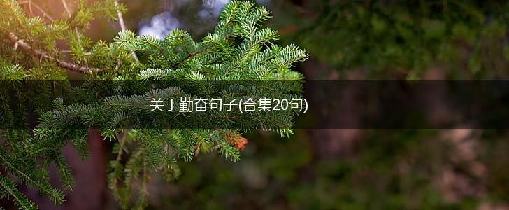 关于勤奋句子(合集20句),第1张