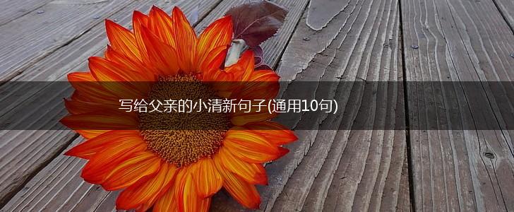 写给父亲的小清新句子(通用10句),第1张