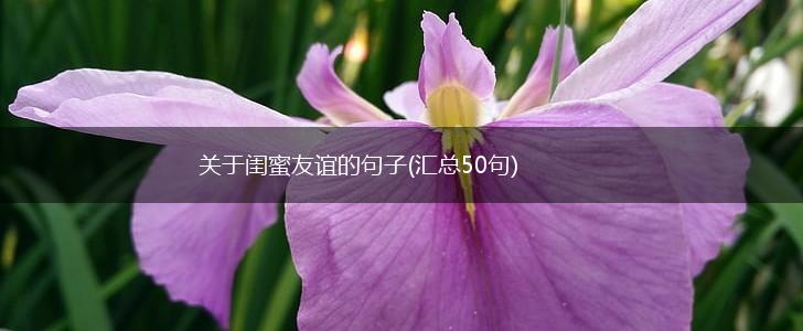 关于闺蜜友谊的句子(汇总50句),第1张